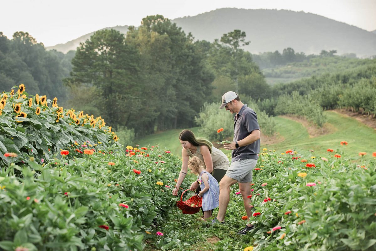 a family picking flowers together