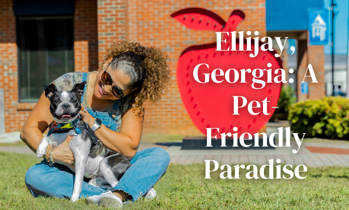 Ellijay Georgia A Pet Friendly Paradise Gilmer County Chamber