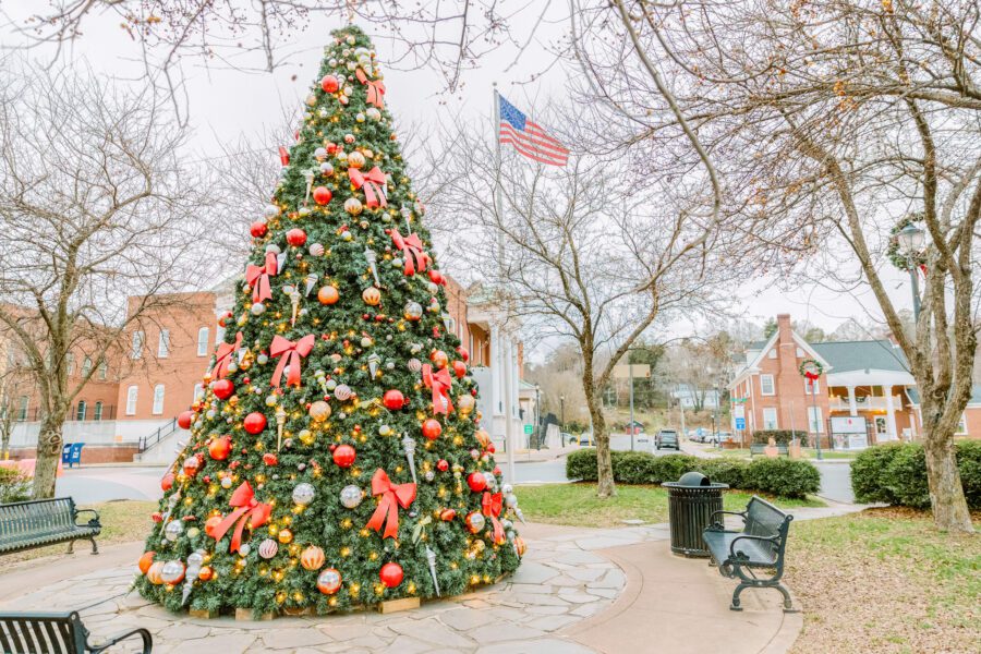 christmas tree downtown ellijay